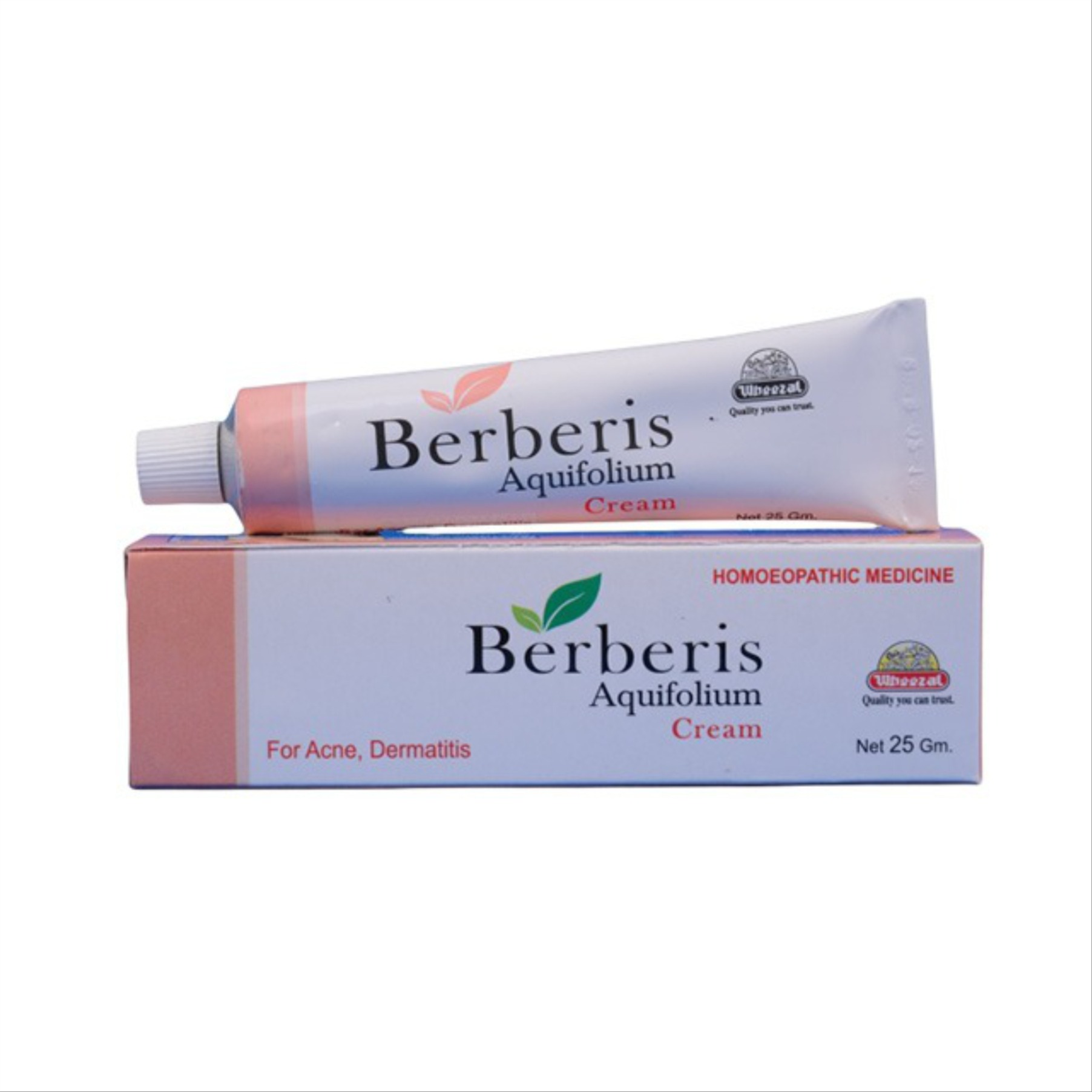 Wheezal Berberis Aqu Cream Tube of 25 GM