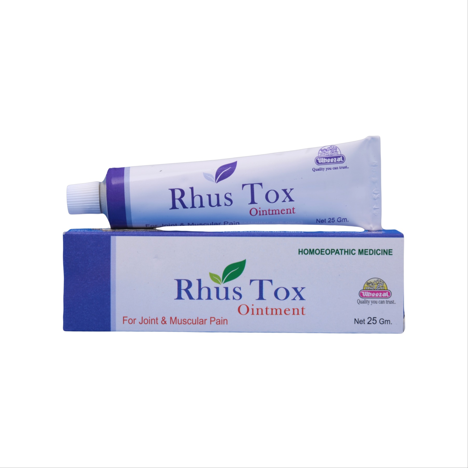 Wheezal Rhus Tox Ointment Tube of 25 GM