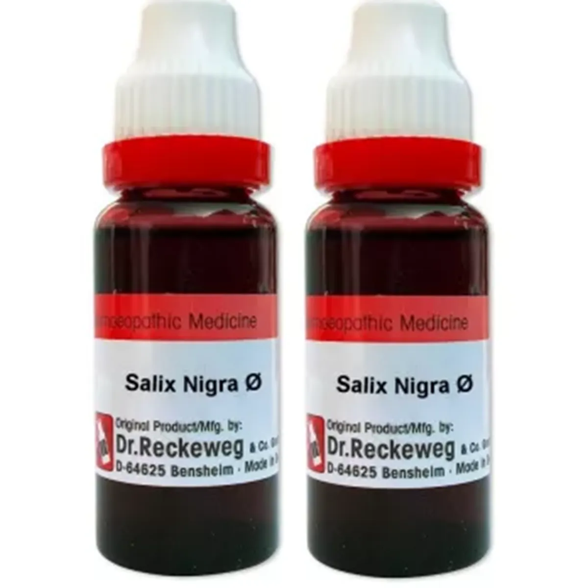 Dr Reckeweg Salix Nigra 1X  pack of 2 Bottle of 40 ML