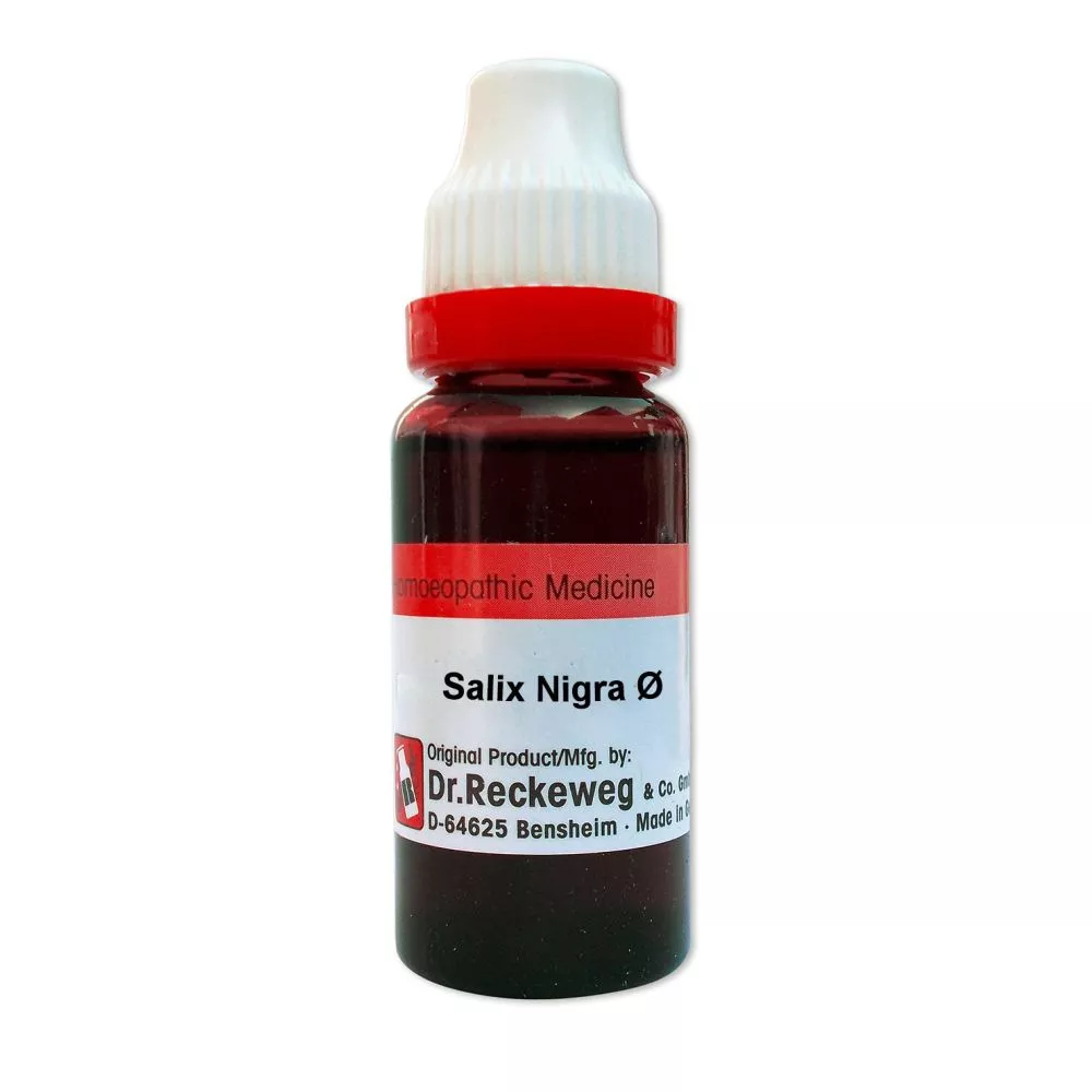 Dr Reckeweg Salix Nigra 1X Bottle of 20 ML