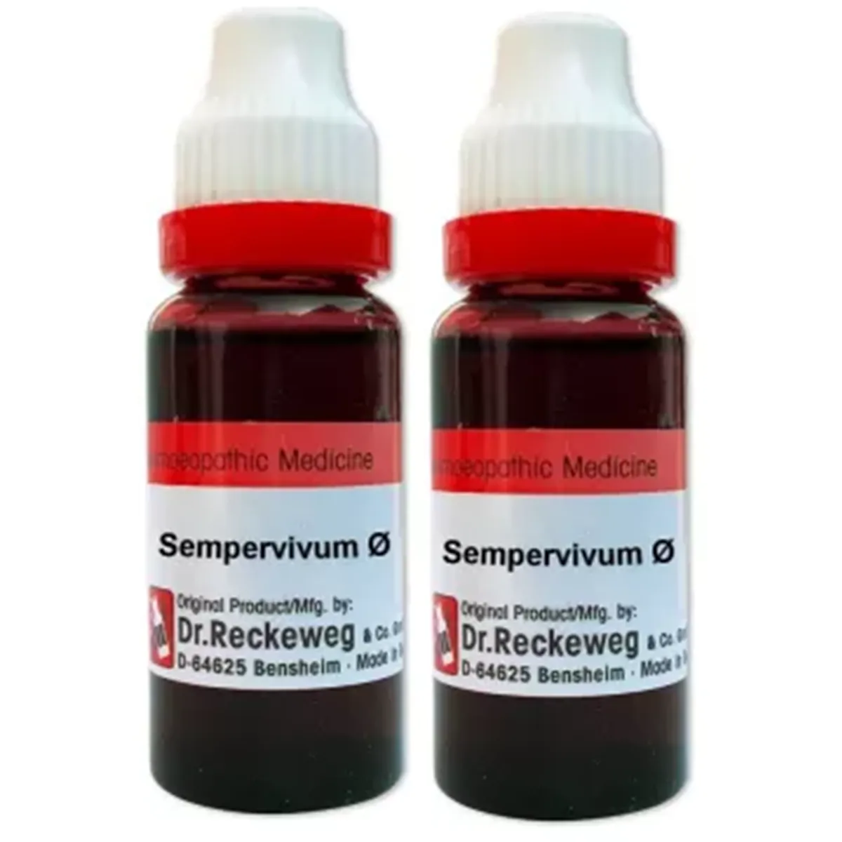 Dr Reckeweg Sempervivum Tect 1X  pack of 2 Bottle of 40 ML