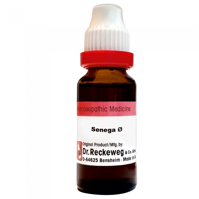 Dr Reckeweg Senega 1X Q Bottle of 20 ML