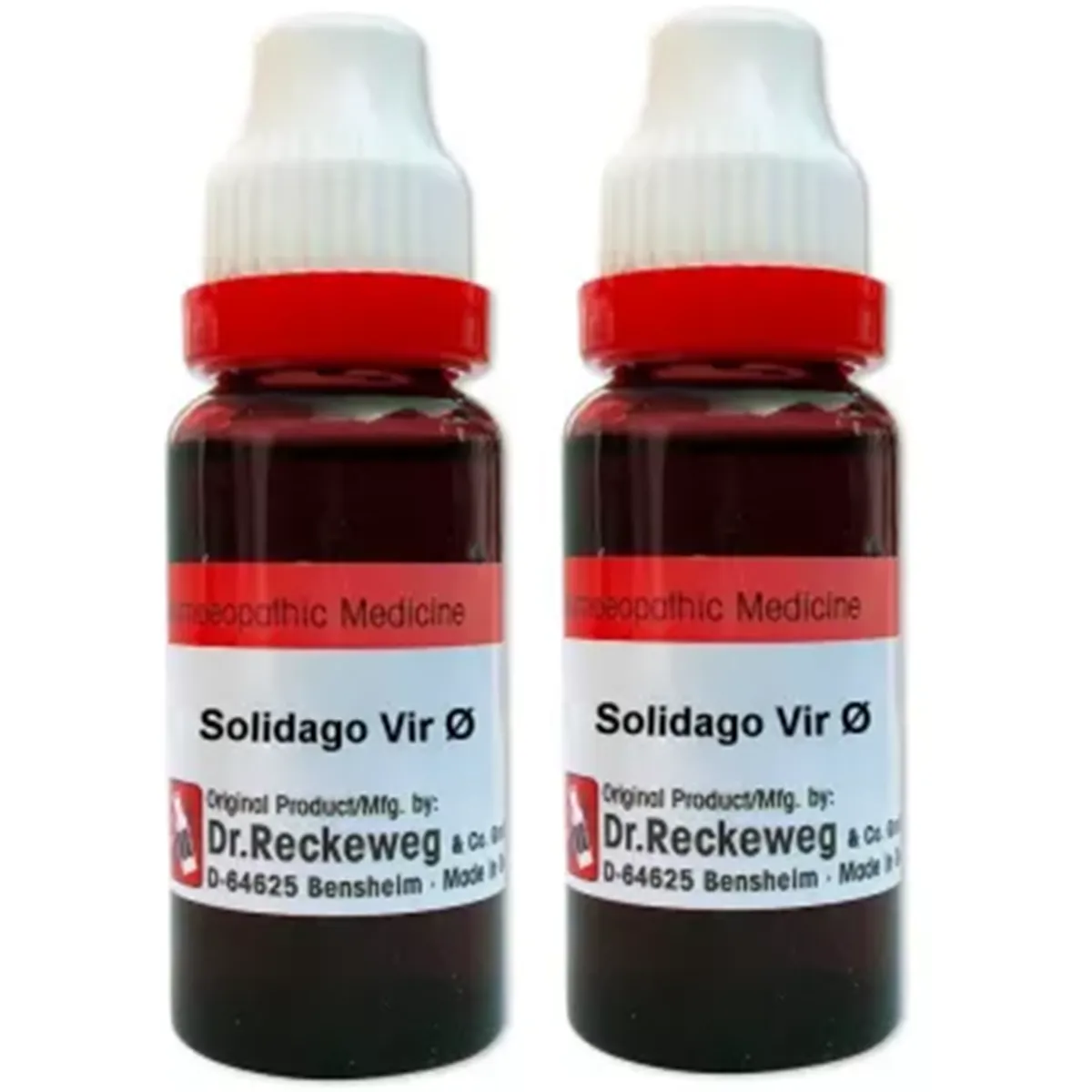 Dr Reckeweg Solidago Virgaur 1X  pack of 2 Bottle of 40 ML
