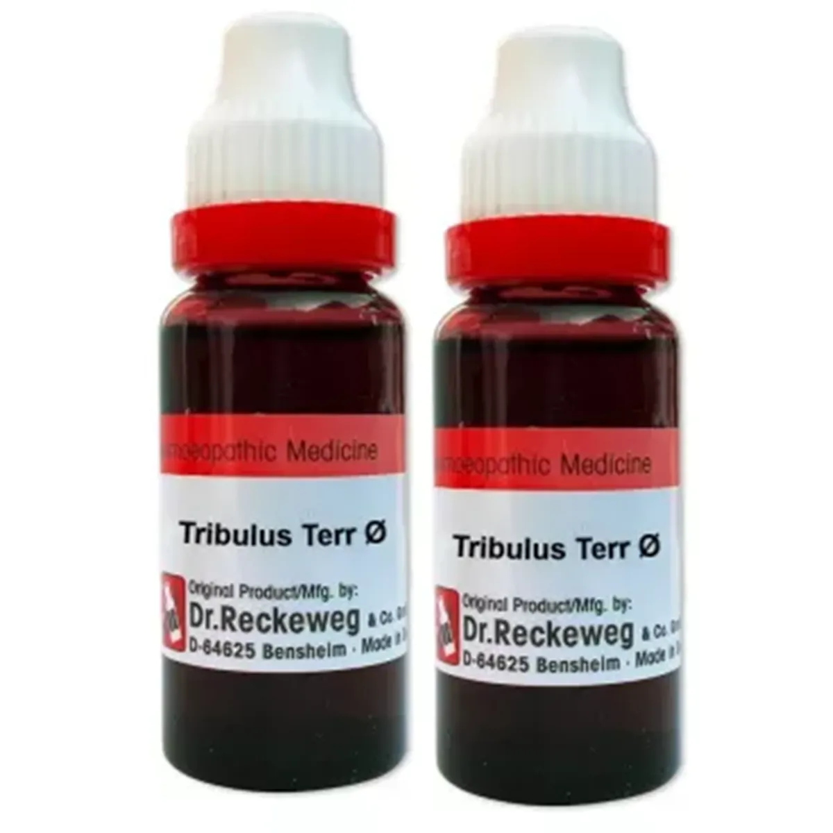 Dr Reckeweg Tribulus Terrest 1X pack of 2 Bottle of 40 ML