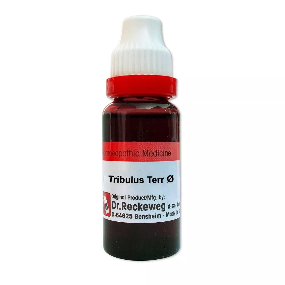 Dr Reckeweg Tribulus Terrest 1X Bottle of 20 ML