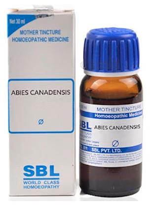 SBL Abies Canadensis Mother Tincture Q Bottle of 30 ML