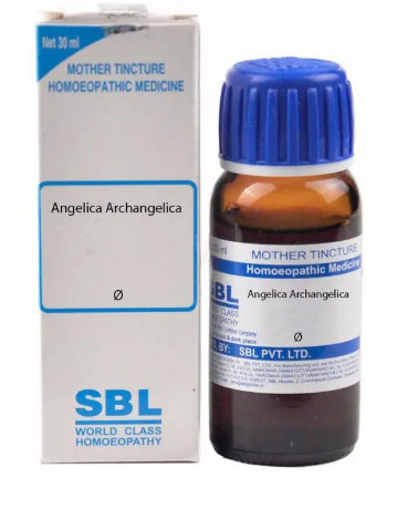 SBL Angelica Archangelica Mother Tincture Q Bottle of 30 ML