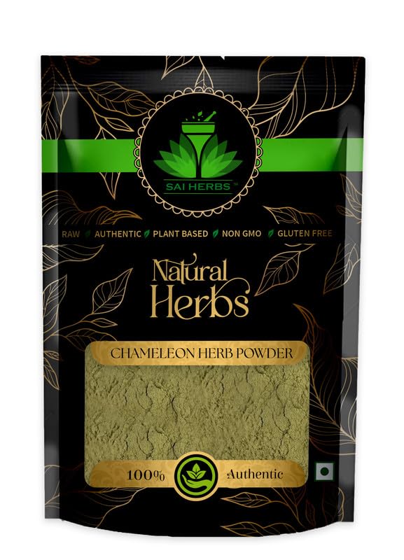 SAI HERBS Chameleon Herb Powder Packet of 100 GM