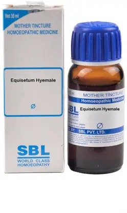 SBL Equisetum Hyemale Mother Tincture Q Bottle of 30 ML