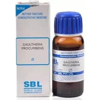 SBL Gaultheria Procumbens Mother Tincture Q Bottle of 30 ML