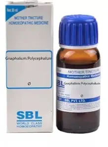 SBL Gnaphalium Polycephalum Mother Tincture Q Bottle of 30 ML