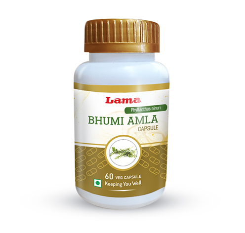 Lama Bhumi Amla veg capsule Bottle of 60 Capsule