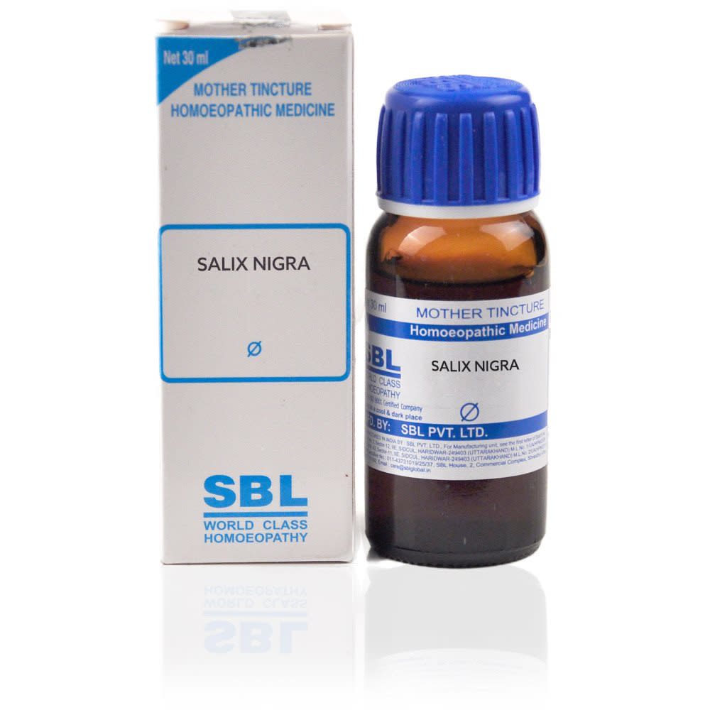 SBL Salix Nigra Mother Tincture Q Bottle of 30 ML