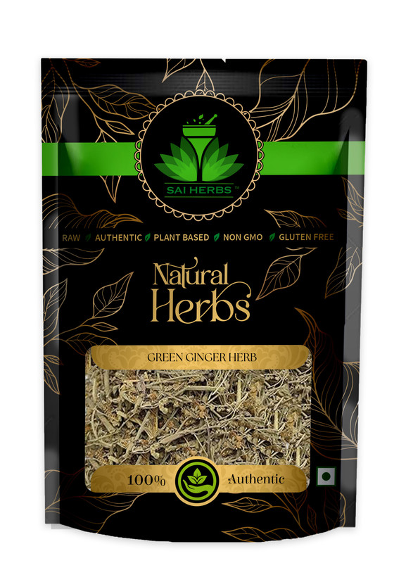 SAI HERBS Green Ginger Herb Packet of 100 GM