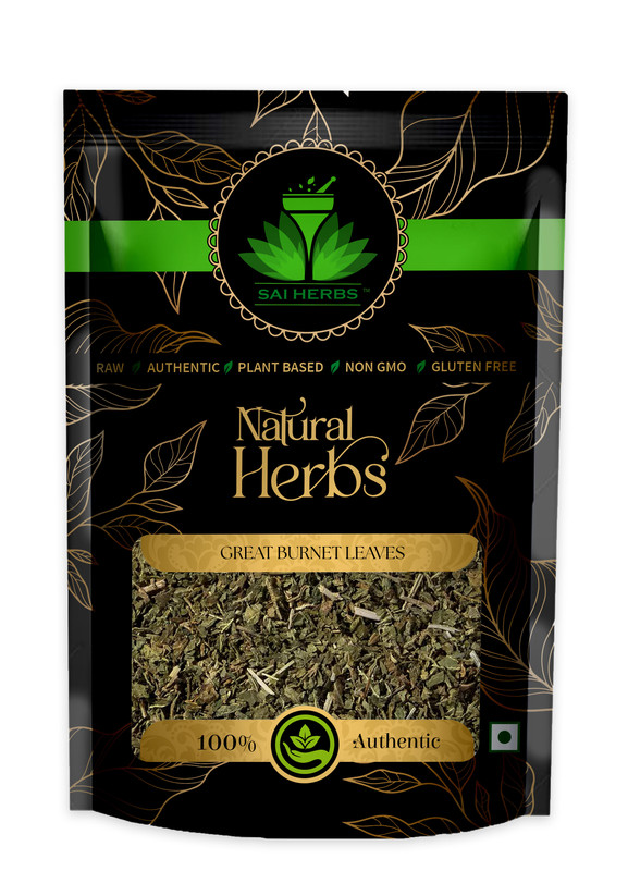 SAI HERBS Great Burnet Leaves Packet of 500 GM
