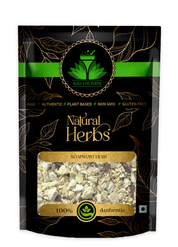 SAI HERBS Soapwort Herb Packet of 100 GM