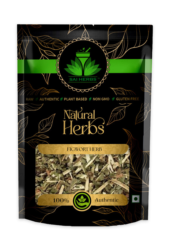 SAI HERBS Figwort Herb Packet of 100 GM