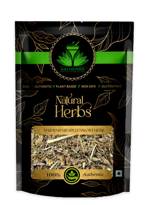SAI HERBS Maidenhair Spleenwort Herb Packet of 100 GM