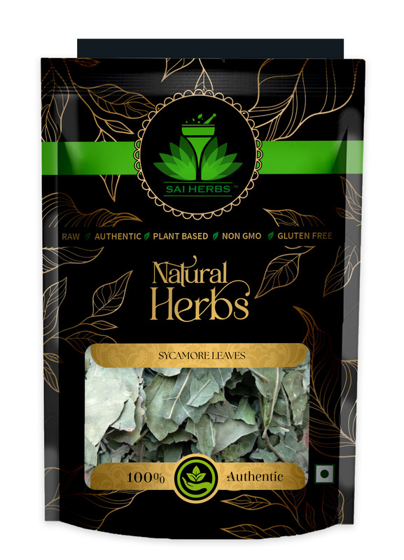 SAI HERBS Sycamore Leaves Packet of 100 GM