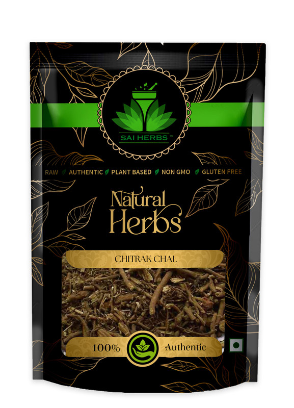 SAI HERBS Chitrak Chal Packet of 100 GM