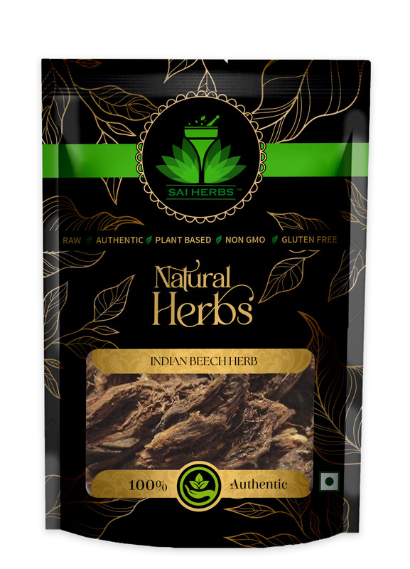 SAI HERBS Indian Beech Herb Packet of 100 GM