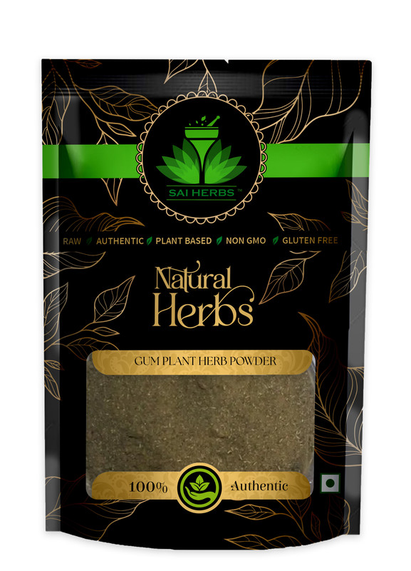 SAI HERBS Gum Plant Herb Powder Packet of 100 GM