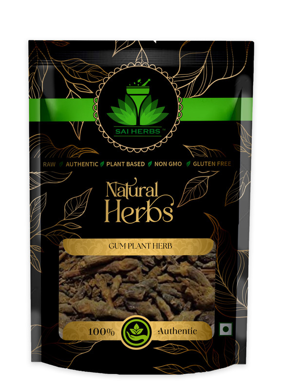 SAI HERBS Gum Plant Herb Packet of 100 GM