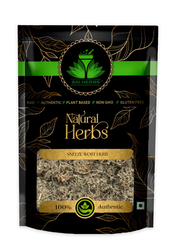 SAI HERBS Sneeze Wort Herb Packet of 100 GM