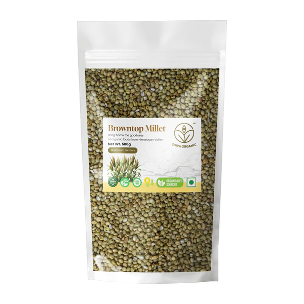 Shiva Organic Browntop Millet packet of 500 GM