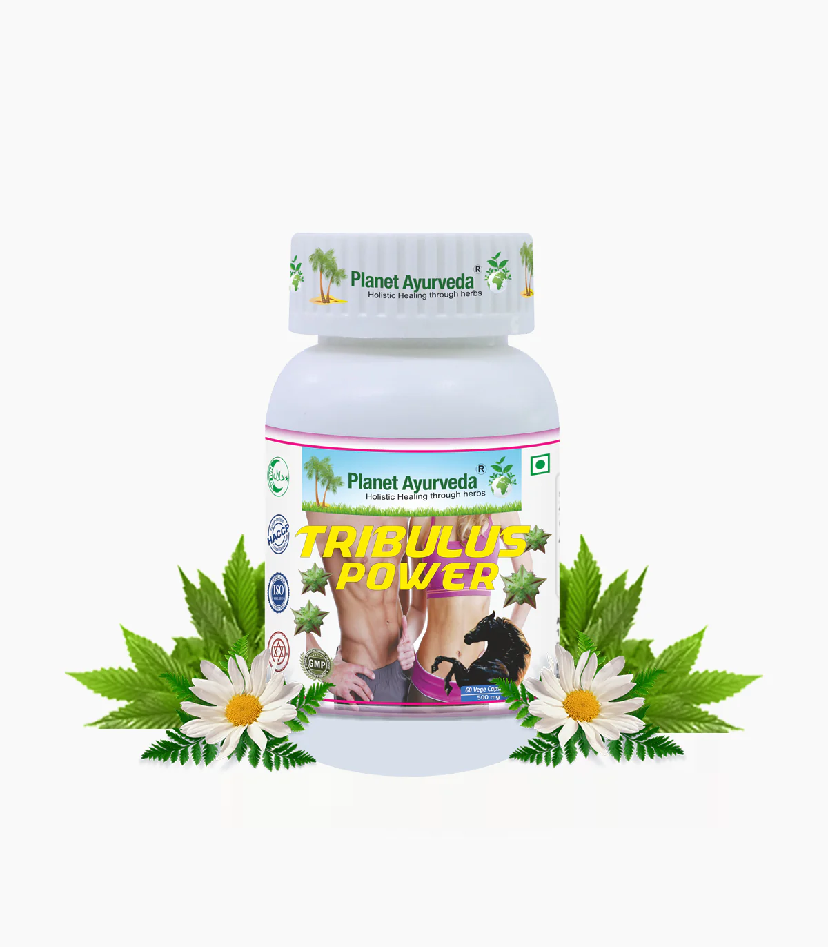 Tribulus Power Bottle of 60 Capsule