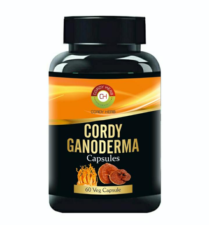 Cordy Herb Cordy Gano Capsules Bottle of 60 QTY