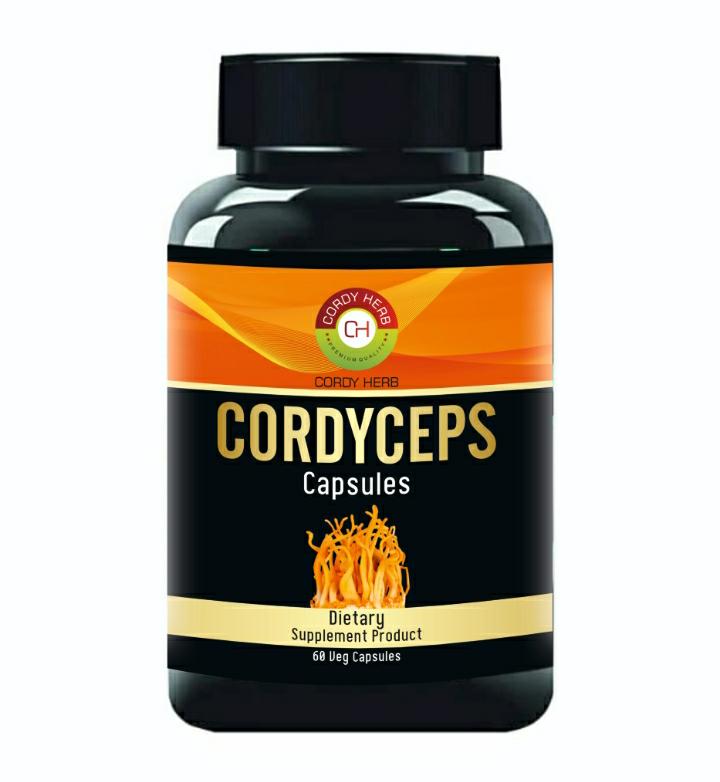 Cordy Herb Cordyceps Capsules Bottle of 60 QTY