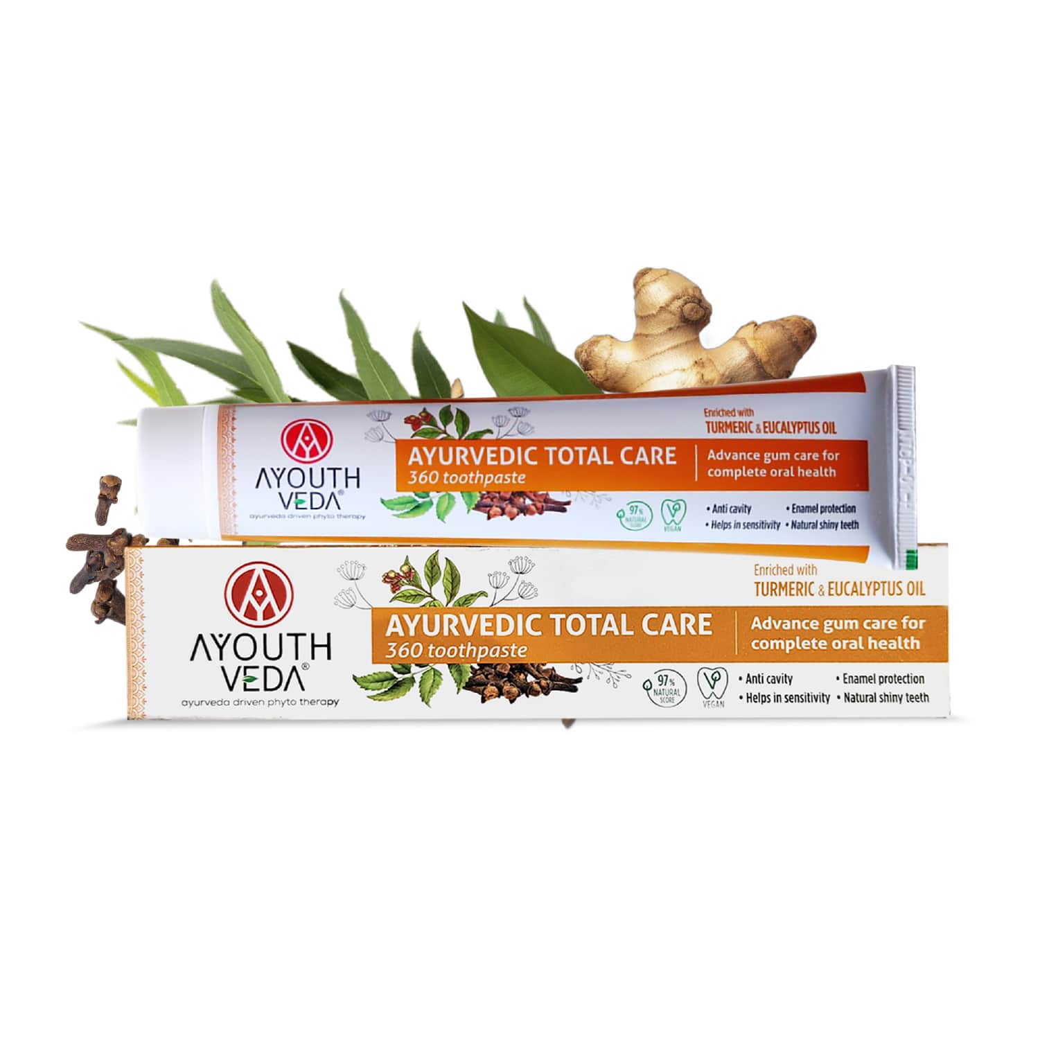 Ayouthveda Total Care 360 Toothpaste Toothpaste Ayurvedic 100g Pack of 2 Tube of 200 GM