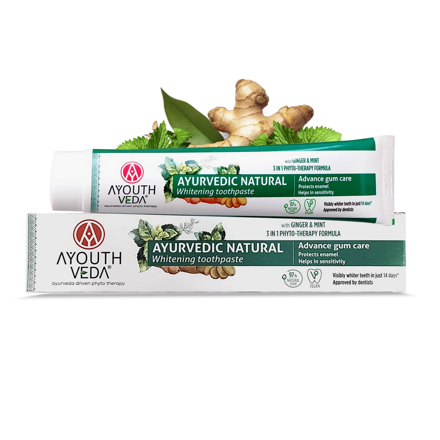 Ayouthveda Ayurvedic Natural Whitening Toothpaste Toothpaste 100 g Pack of 2 Tube of 200 GM