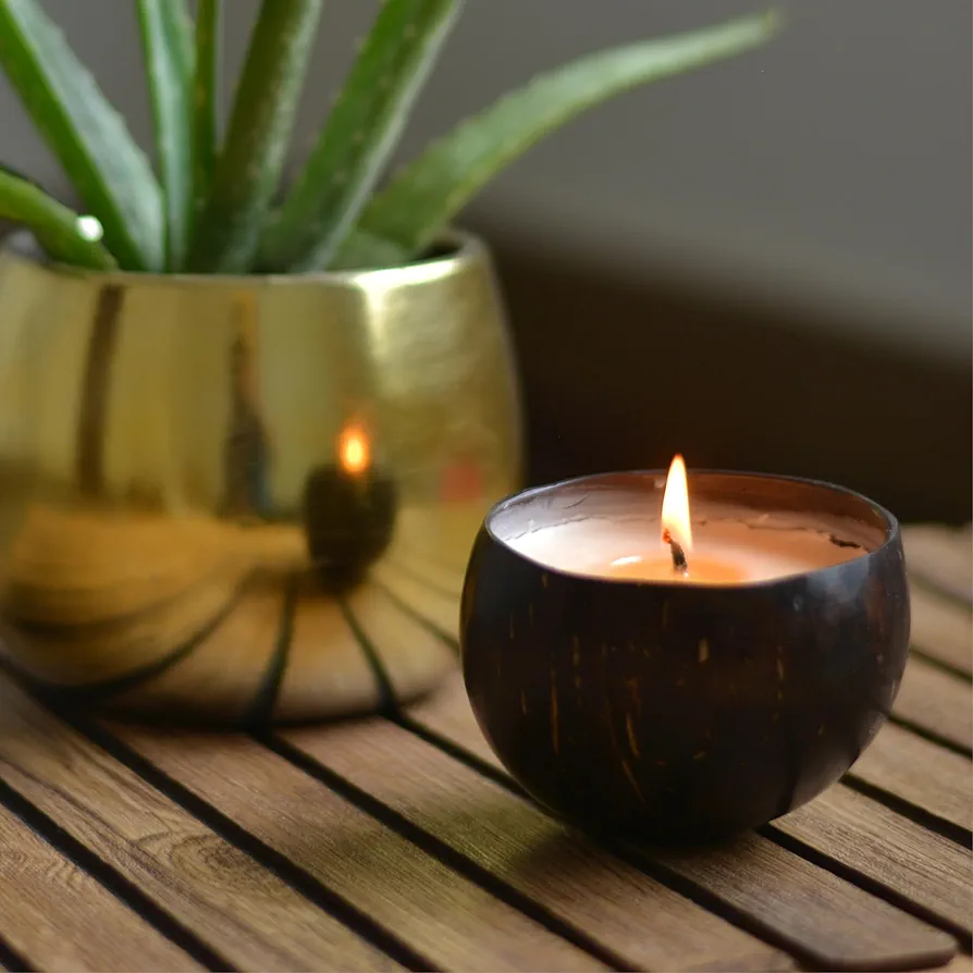 Ecotyl Coconut Shell Candle 100g Box of 1 QTY