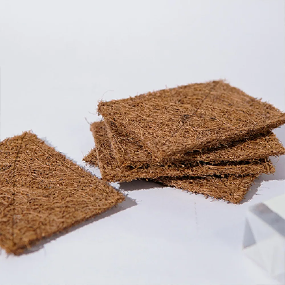 Ecotyl Coconut Scrub Pad  Set of 5 Box of 5 QTY