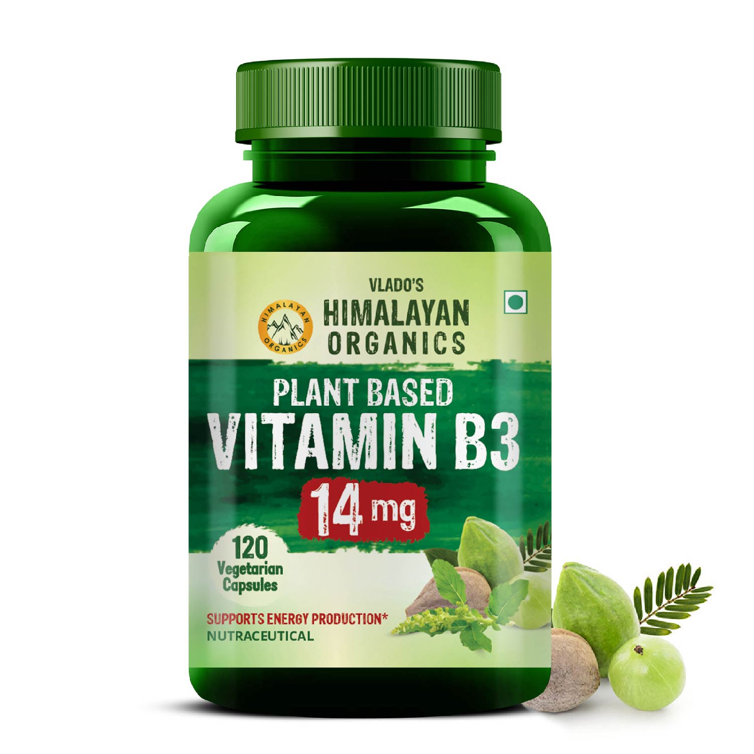 Himalayan Organics Plant Based Vitamin B3 Supports Healthy Skin and Heart Bottle of 120 Capsules Capsule