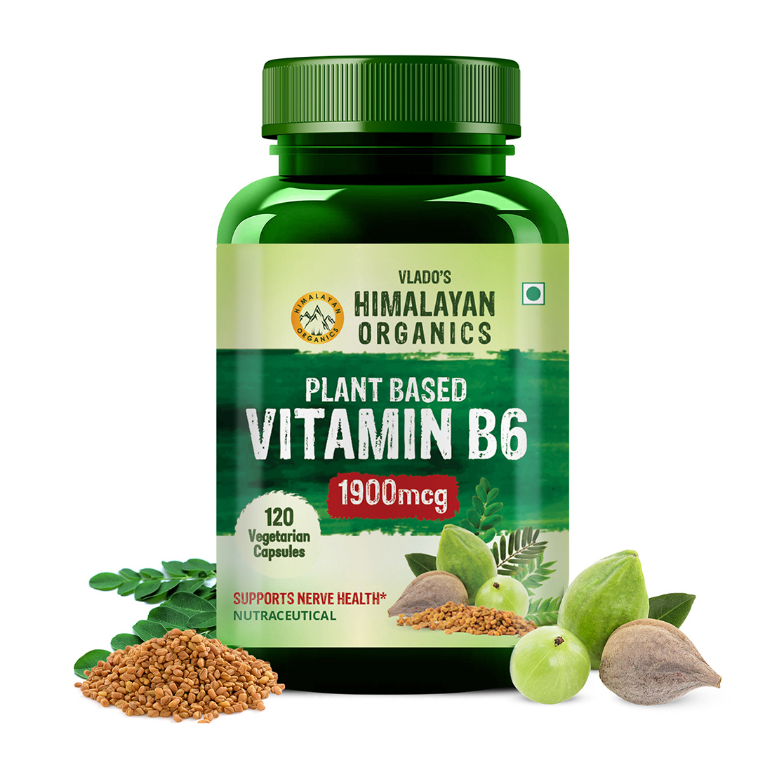Himalayan Organics Plant Based Vitamin B6 Supports Immunity Brain Health Bottle of 120 Capsules Capsule