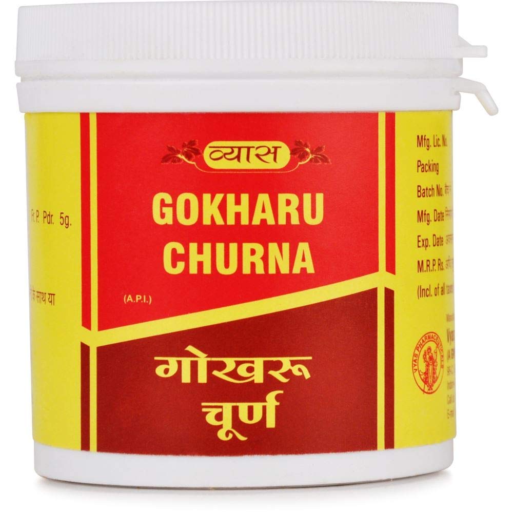 Vyas GILOYA CHURNA Jar of 100 GM