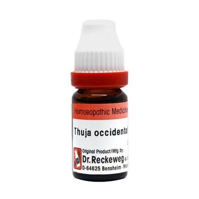 Dr Reckeweg Thuja occid  10M Bottle of  11 ML
