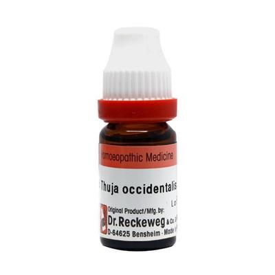Dr Reckeweg Thuja Occ Dilution 1000 CH Bottle of  30 ML