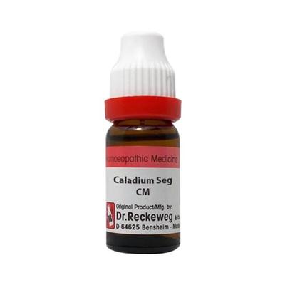 Dr Reckeweg Caladium Seg Mother Tincture Q Bottle of  20 ML