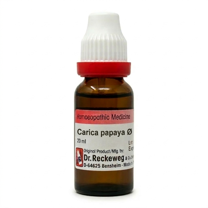 Dr Reckeweg Carica Papaya Mother Tincture Bottle of 20 ML